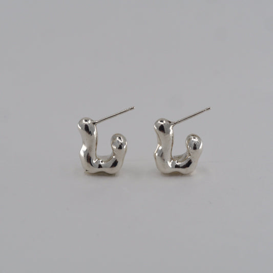 Hook Earrings